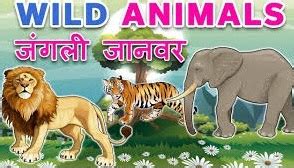 LIBRARY KENDRIYA VIDYALAYA, KIRANDUL: Wild Animals Name in Hindi and English with Pictures