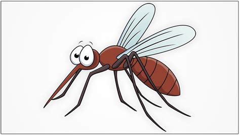 How to draw a mosquito cartoon step by step - YouTube