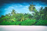 Retro stylized image of tropical island with coconut palm trees. Maldives | Nature Stock Photos ...