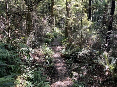 Lake Rotoiti Circuit - Nelson Trails