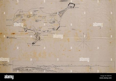 Map of St. Paul Island, Alaska, 1900 Stock Photo - Alamy