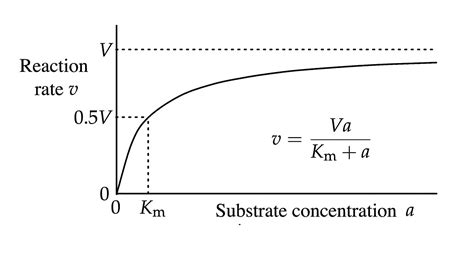 17 Enigmatic Facts About Michaelis-Menten Equation - Facts.net