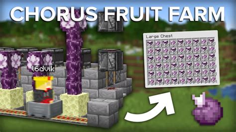 End Chorus Fruit - A Valuable Minecraft Resource