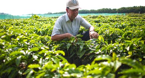 Farmers and the Future of Coffee Farms | Starbucks® Coffee at Home