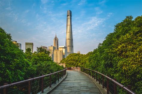 Mangrove Forest China Stock Photos, Pictures & Royalty-Free Images - iStock