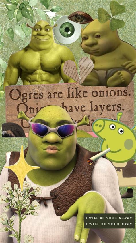 Shrek Memes, Shrek Funny, Mystic Wallpaper, Roblox Image Ids, Facebook ...