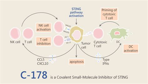 STING Archives - Immune System Research