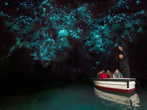 Waitomo Glowworm Caves Tour- Tauranga