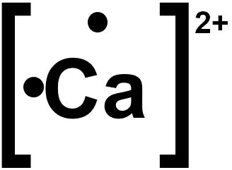 Provide the Lewis dot symbol for Ca2+. | Channels for Pearson+