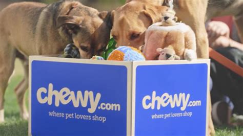 Chewy stock tanks on weaker sales - CNN