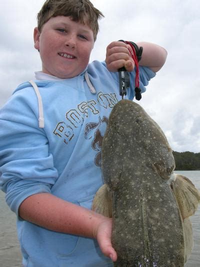 Fishing Report Bermagui River