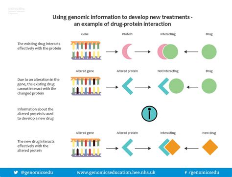 Using genomic information to develop new treatments-an exa… | Flickr