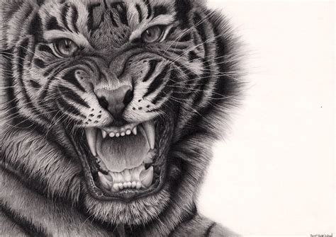 Tiger Roar by Bengtern on deviantART | Ideias de tatuagens, Designs de ...