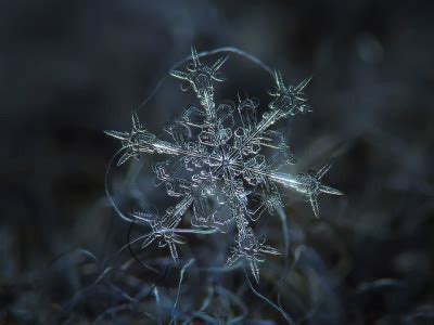 How to take Macro Snowflakes Photography under $50 Customized Lens