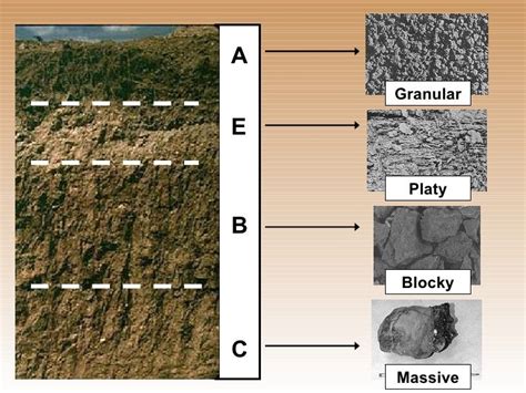 Platy Soil Structure