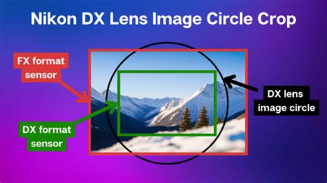 Nikon DX Vs FX Lenses - Differences Explained - Photography Pursuits