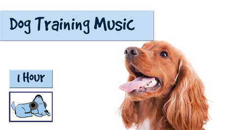 Music to Help you and Your Dog During Training - Dog Training Music! 🐶 #TRAIN06 - YouTube