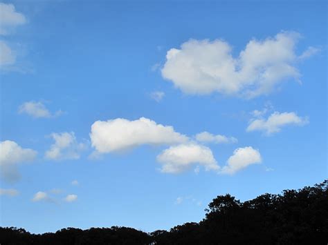 Clouds, FREE Stock Photo, Image, Picture: Sunny Sky Cloudscape, Royalty-Free Sky, Clouds Stock ...