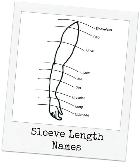 sleeve lengths | Fashion vocabulary, Fashion words, Sewing inspiration