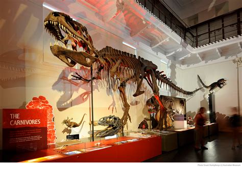 Dinosaurs Exhibition on Behance