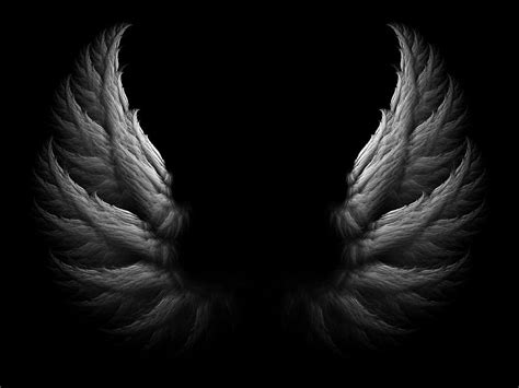 Angel Wing Background Fresh Angel Wings, Dark Wings HD wallpaper | Pxfuel