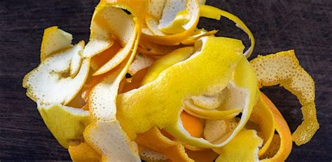 Beyond the Juice: Benefits of Lemon Peel | Silva International