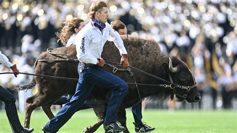 A beloved Colorado Buffaloes' tradition could return this season ...