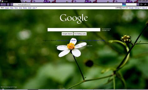 🔥 [49+] Google Homepage Wallpapers for Free | WallpaperSafari