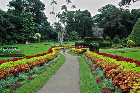 Haggala Botanical Garden | aboutceylon