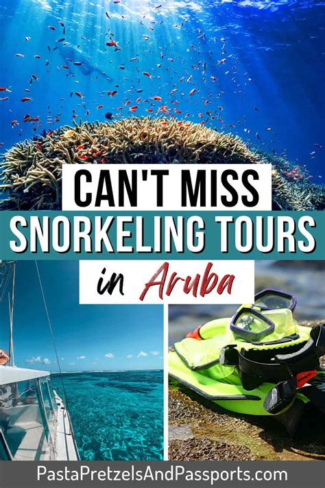 5 Aruba Snorkeling Tours You Don't Want to Miss 2024