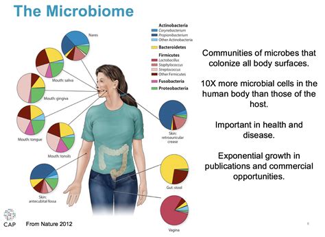 The microbiome (via pathreport.org) | Microbiome, Disease, Health