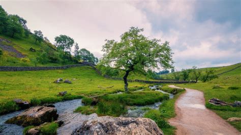 The Best Hotels for The Yorkshire Dales National Park, UK | The Hotel Guru