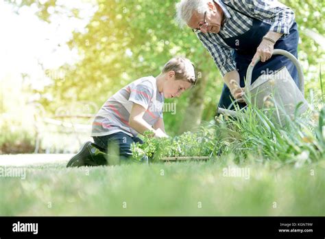 Grandfather 65 70 years hi-res stock photography and images - Alamy