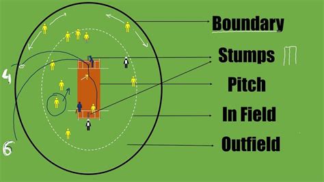 How to play Cricket | Rules of Cricket | Cricket, Cricket stumps, Rules