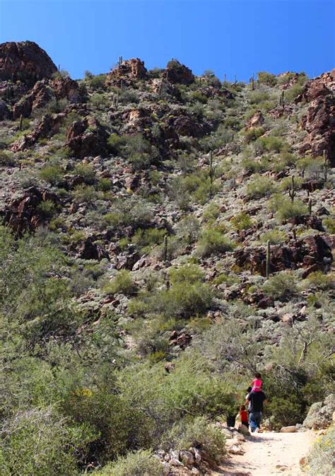 Arizona's Waterfall Hiking Trail: Family Fun Just West of Phoenix