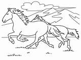 Free Printable Horse Coloring Pages For Kids sketch template