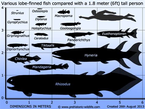 Panderichthys