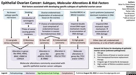 epithelial-ovarian-cancer-subtypes-molecular-alterations-risk-factors | Calgary Guide