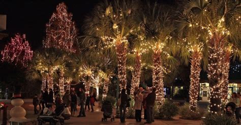 Riverbanks Zoo Christmas Lights 2020 | Outdoor Christmas Decorations