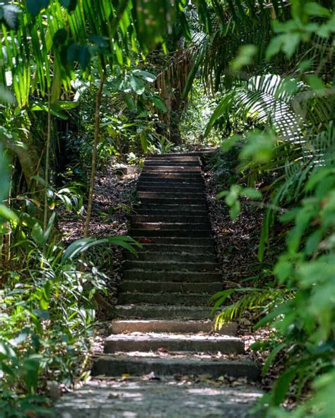 11 Trails for Hiking in Manuel Antonio National Park