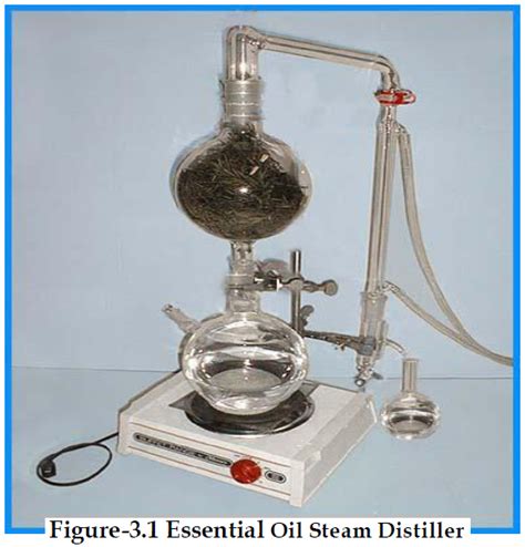 Extraction of Essential Oil by Steam Distillation of Tulsi (Ocimum ...