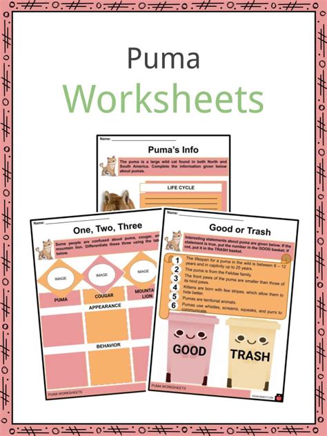 Puma Facts, Worksheets, Appearance & Reproduction For Kids