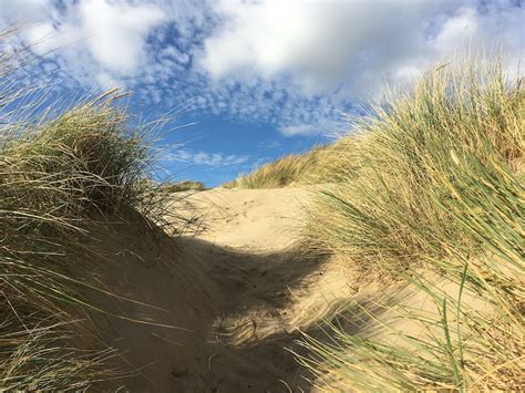 Free stock photo of beach, dunes