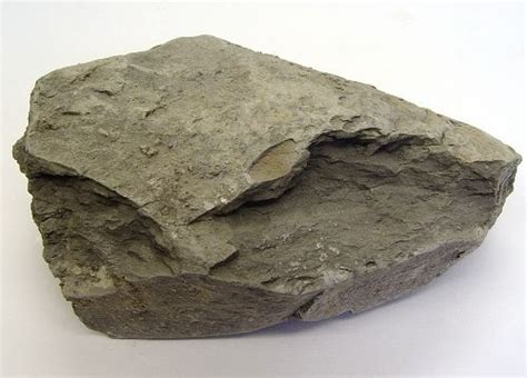 What Are the 25 Types of Sedimentary Rock? | Boulder rock, Sedimentary rocks, Rock types