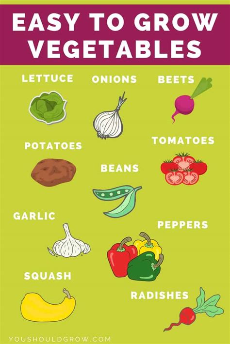 17 Key Vegetable Gardening Tips For Beginners | You Should Grow