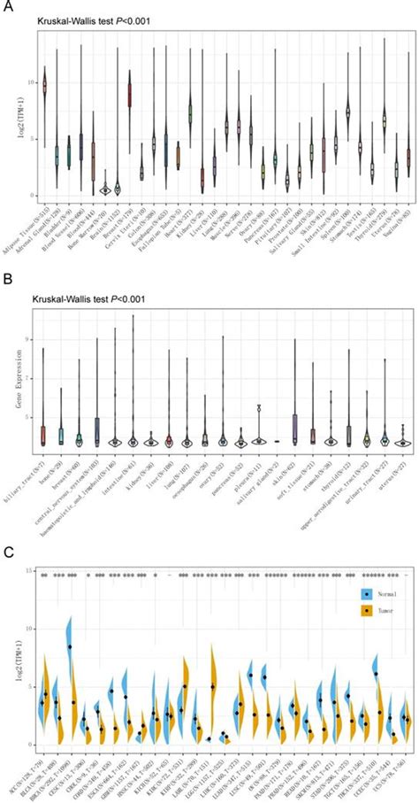 Prognostic and immunological role of CD36: A pan-cancer analysis