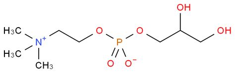 L-A-GLYCERYLPHOSPHORYLCHOLINE(GPC) 4217-84-9 wiki