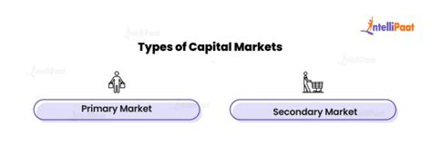 Capital Markets - What are, Working, and Functions - Intellipaat