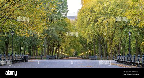 The Mall in Central Park, New York City Stock Photo - Alamy