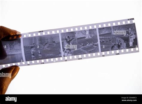 A strip of 35mm black and white film negative Stock Photo - Alamy